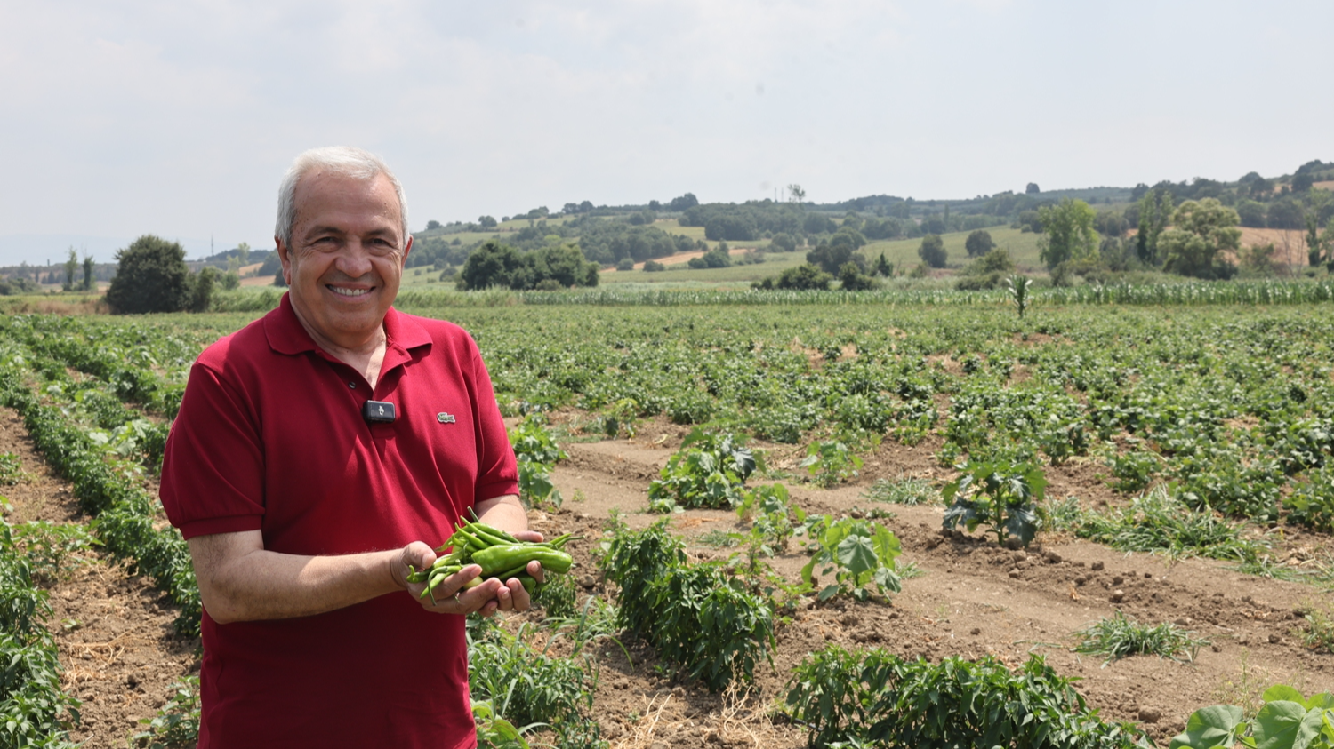Şadi Özdemir Projeleri - Nilüfer Belediyesi 350 dekarlık alanda tarımsal üretim yapıyor | 