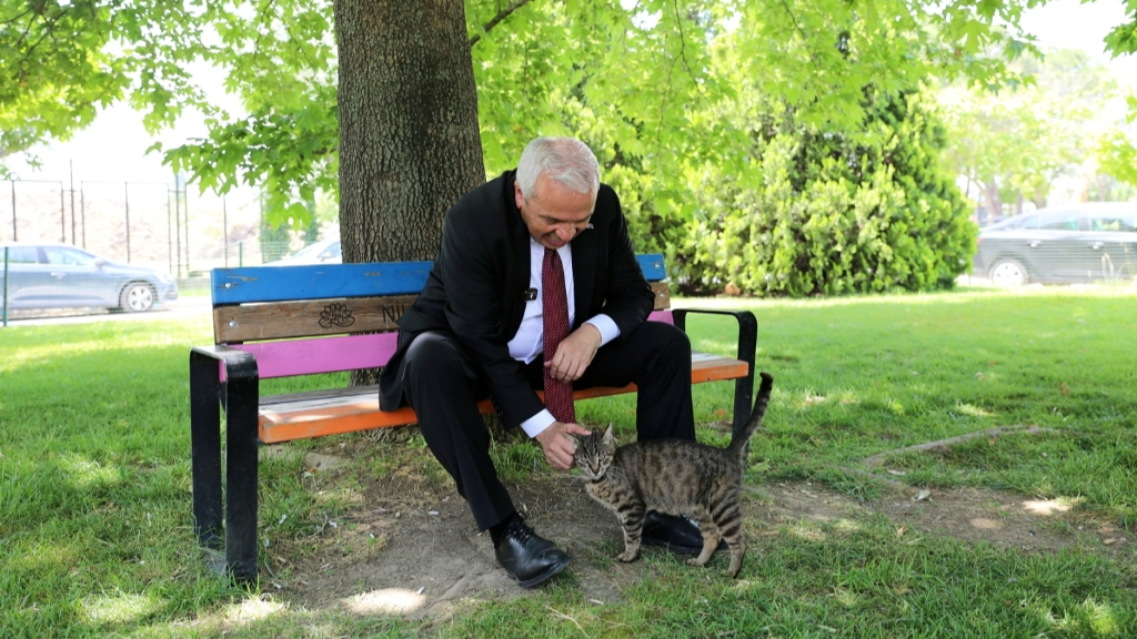 Şadi Özdemir Projeleri - Başkan Şadi Özdemir: Can dostlara sahip çıkacağız | 