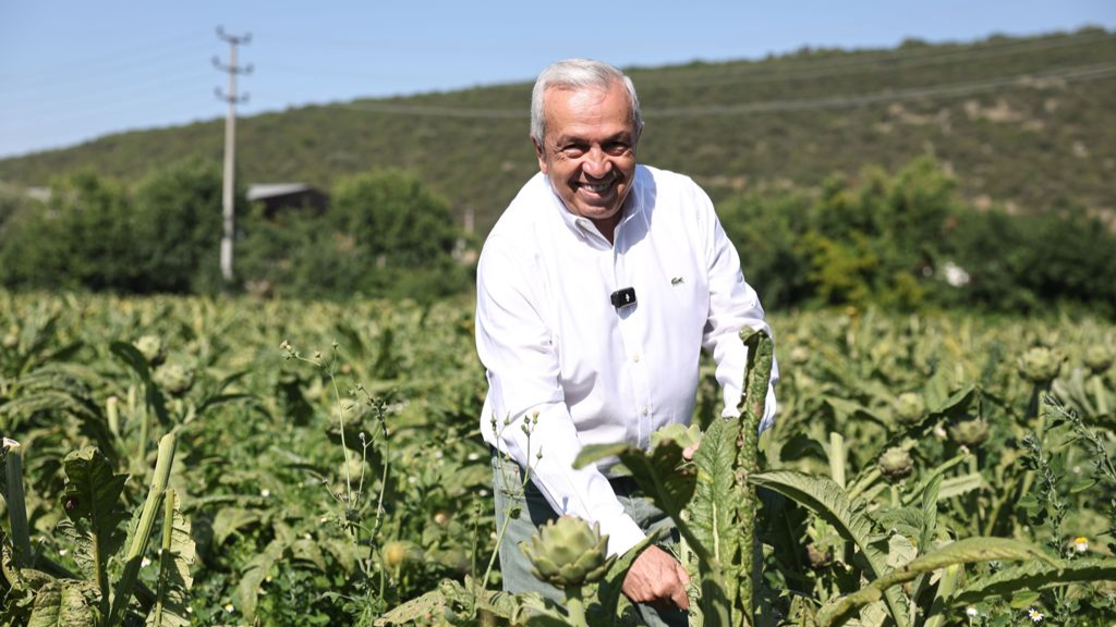 Şadi Özdemir Projeleri - Hasanağalı enginar üreticilerine kooperatifleşme çağrısı | 