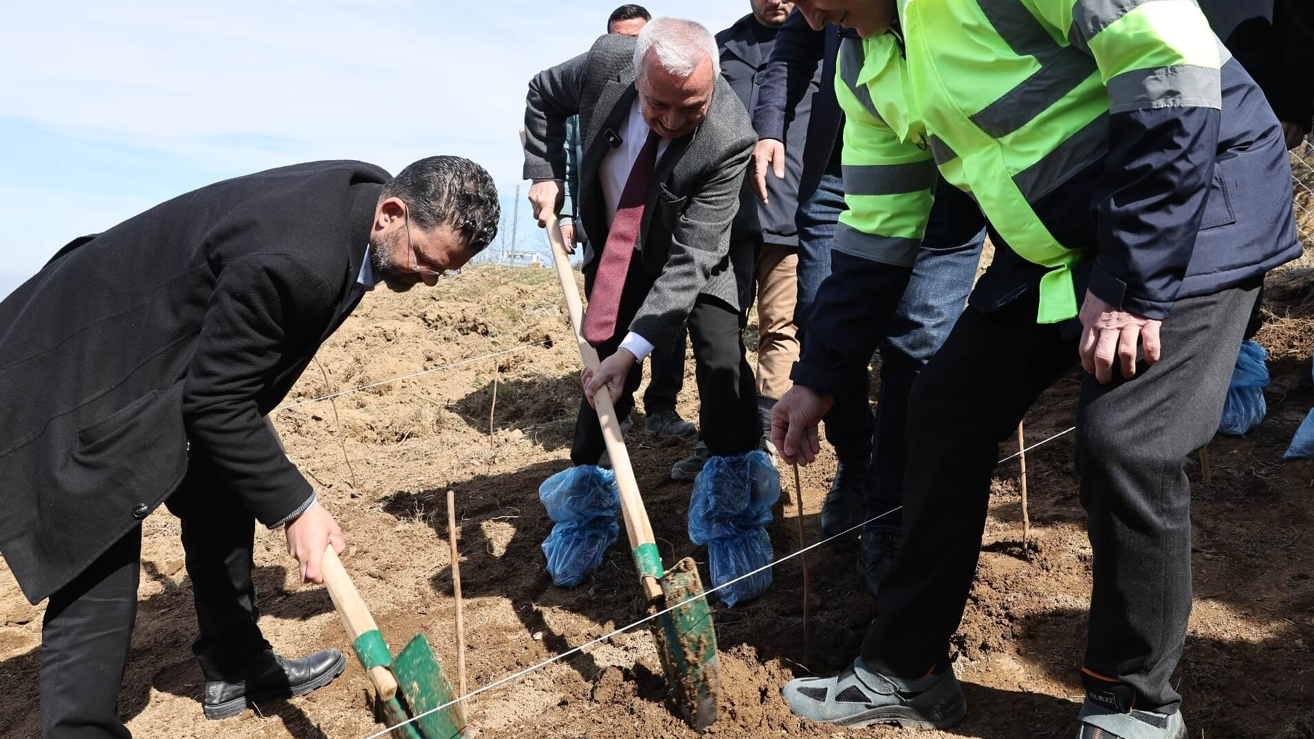 Şadi Özdemir Projeleri - Nilüfer Belediyesi ahududu üretimi ile çiftçiye örnek olacak  | 