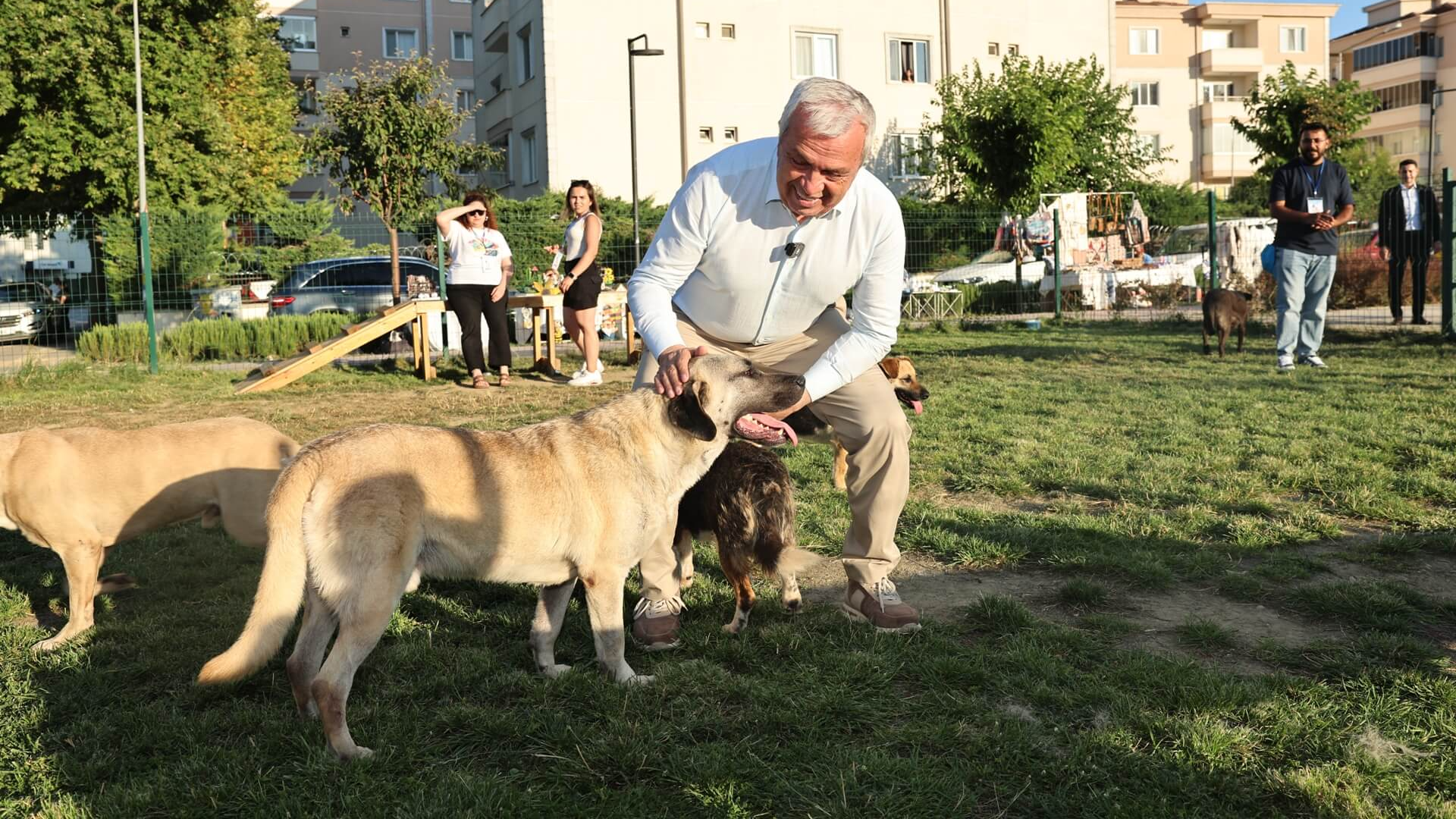 Şadi Özdemir Projeleri - Nilüfer’de can dostlar yeni yuvalarına kavuştu | 