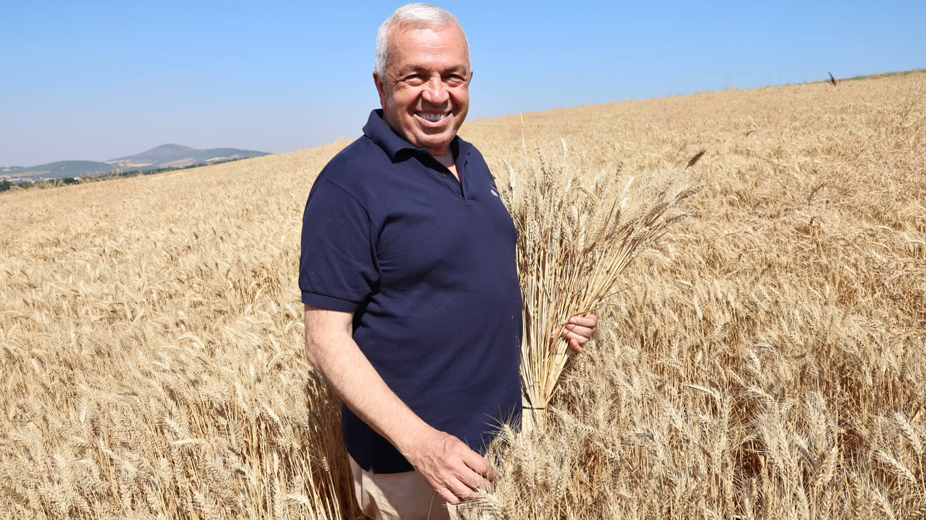 Şadi Özdemir Projeleri - Nilüfer’de buğday hasadı başladı | 