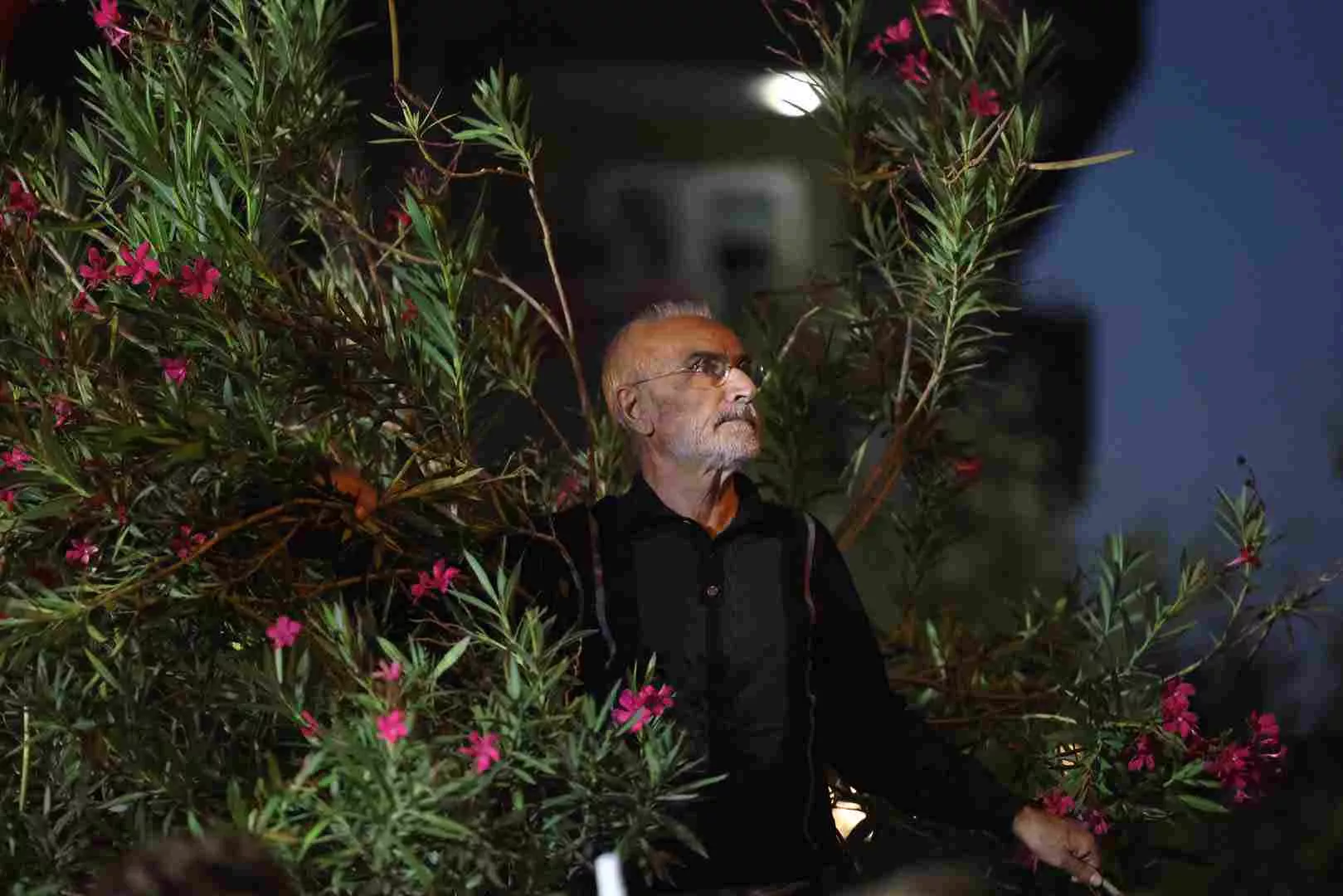 Şadi Özdemir