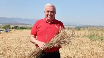 Şadi Özdemir Haberleri - Nilüfer’de buğday hasadı başladı | 