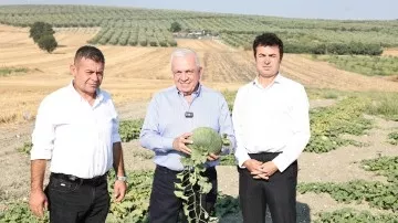 Şadi Özdemir Haberleri - Nilüfer Belediyesi’nden “Hırsız Almaz Kavunu” için coğrafi işaret hazırlığı | 