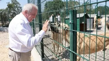 Şadi Özdemir Haberleri - Başkan Şadi Özdemir’den “Umut Ağacı”na inceleme ziyareti  | 